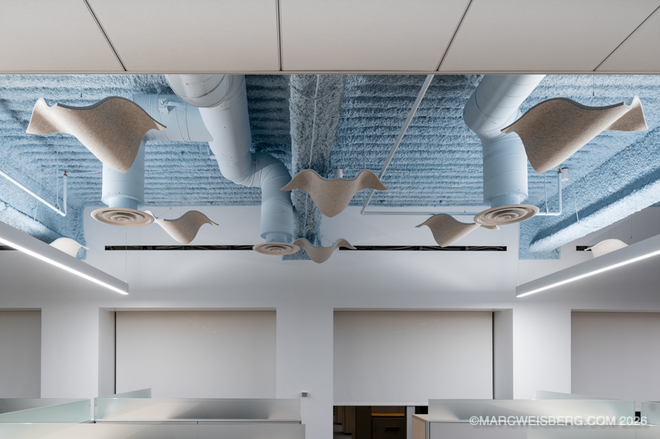 Open office with exposed blue ceiling and sculptural acoustic panels